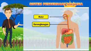 Kelas V Tema 3 Subtema 1 Pembelajaran 5 & 6