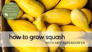 How To Grow Squash