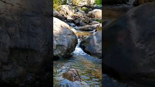 Nature beauty 🌳 Uttarakhand 🌳Pahad vibes ❤️ प्रकृति की आवाज 🌳