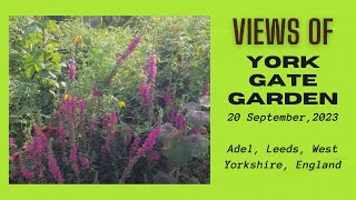 Views of York Gate Garden, Adel, Leeds, West Yorkshire, England - 20 September, 2023