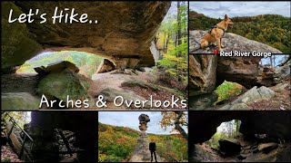 Whites Branch Arch, Twilight Arch, Whittleton Arch + More - Red River Gorge - Kentucky - 10/17/23