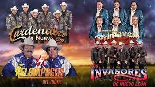 Los Invasores, Los Relampagos Del Norte, Cardenales DNL, Conjuto Primavera, Ramon Ayala Y Mas