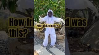 Try this and see if you get stung #learnfromkhaby #comedy #bee 🤲🏿