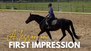 Exploring Bridleless Riding with 6-Time WDAA World Champion First Impression #equestrian #horse