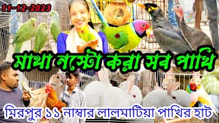 আরজের ভিডিওতে মাথা নস্টো করা সব পাখি | মিরপুর ১১ নাম্বার লালমাটিয়া পাখির হাট | ১১-১২-২০২৩ পাখির হাট