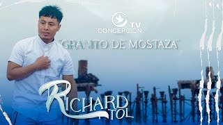 RICHARD TOL // GRANITO DE MOSTAZA // VIDEOCLIP 6K //