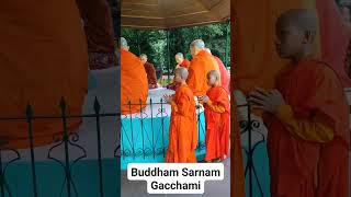 Buddham Saranam Gacchami #bodhivriksh #sarnath #buddha #temple #varanasi