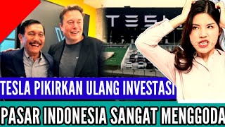 Youtuber Penjilat Malaysia Bungkam Tesla Pikirkan Investasi Ulang Di Negara Raja Nikel Dunia