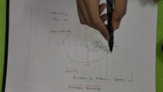 Phase Margin and Gain Margin (Nyquist Stability Criterion)