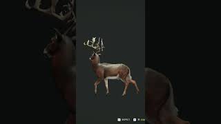 Great one whitetail!#thehuntercallofthewild