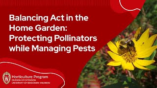 Balancing Act in the Garden: Protecting Pollinators and Managing Pests