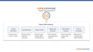 Data cleansing: A minute With Openprise