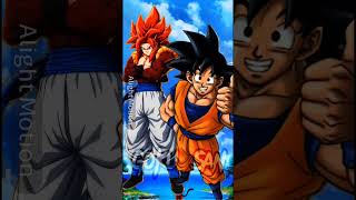 who is strongest ||Gogeta ssjb and ssj4 dbfz vsgod fusion goku and seraphime goku||