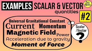 Vector Quantities Examples