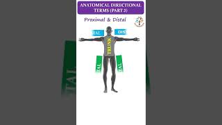 Anatomical Directional Term Part 4 ll Proximal & Distal ll #ytshorts ll #PATHOGENESIS