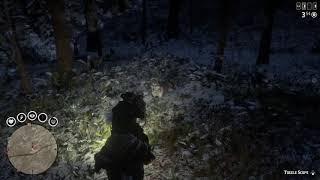 Red Dead Redemption 2_close call with some wolves