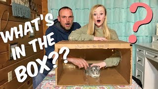 Whats in The Box ?? Princess Ella VS her Dad