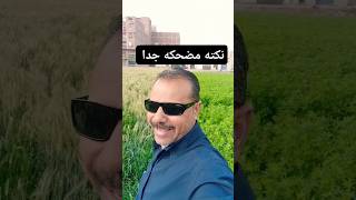 نكته مصريه مضحكه نكته كيداهم وجوزها هههههههههههه 😂😂