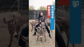 Double Donkey Riding #donkey #donkeyriding #sheepriding #goatriding #Buffaloriding #cowriding