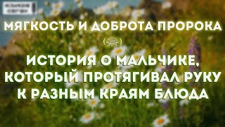 Мягкость и доброта Пророка (ﷺ) История о мальчике, который протягивал руку к разным краям блюда