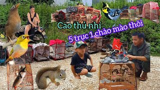 HÃY XEM NGHỆ NHÂN NHÍ TRẢ GIÁ CHÀO MÀO 5 chục đến 8 chục Ở CHỢ CHIM CẢNH