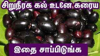 நாவல் பழத்தின் நம்ப முடியாத மருத்துவ பலன்கள் |Black jamun benefits in tamil