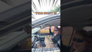 You drive too fast🤢 #ev #automobile #export #dog #doglover #funny