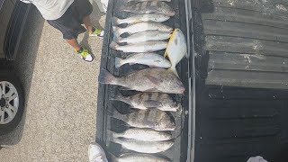 Part 2 Corpus Christi Fishing with the #FISHBANDITSQUAD, Black Drum on a Paddletail?