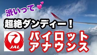 超ダンディー！渋い 声のJALパイロットイケている   JAL124便 パイロットアナウンス【IBA飛行機】