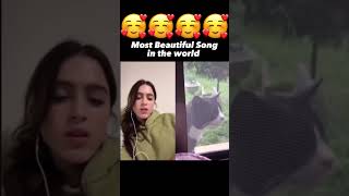 Award Winning Song Duet 🥰 Girl beautiful singing w cat 🐈