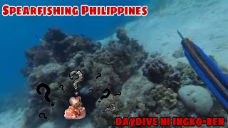 Spearfishing Philippines | Day dive | Dalaguete Spearo Vlog | #djiphilippines #shorts