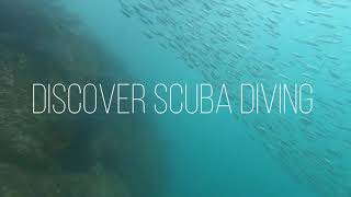 Discover Scuba Diving