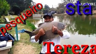 #Digão_fishing#pesqueiro Sta tereza# muitos exemplares