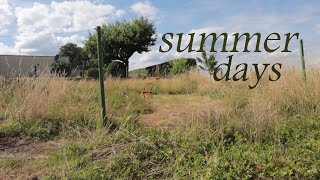 silent vlog / summer days / greenhouse