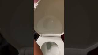 2021 Kohler Highline Curve Toilet Flushing!