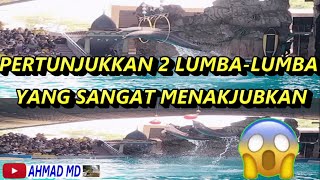 PERTUNJUKKAN 2 LUMBA-LUMBA YANG MENAKJUBKAN