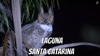 Observação de aves - Expedição Mata Atlântica - Banhados de Laguna SC - Ep 3