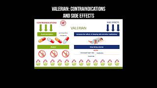 Valerian: contraindications and side effects #valerian #herbalmedicine #herbs #valeriana