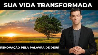 Como ter sua vida transformada: o caminho da renovação pela Palavra de Deus