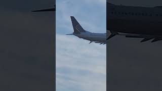 plane Landing Touching The Leaves #travel #airport #luxury #sky #plane #views #airplane