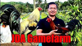 Lets Visit The Farm Of JDA Gamefarm