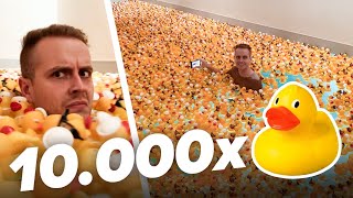 10 000 Enten in unseren Pool 🐤