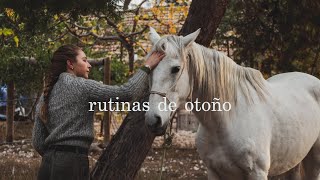 Baile con los caballos, sidra de granada y pan de masa madre - Rutinas de Otoño en la Finca