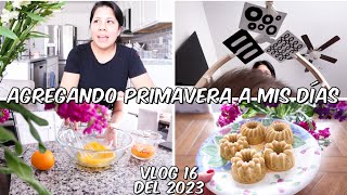 MI VIDA EN USA 🇺🇸 | Agregando primavera a mis dias  , pastel de naranja 🍊planes para el jardin .