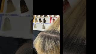 Blending grey ,repairing damage #shorts  #hairtutorial ##haircolour #colourcorrection  #salonlife