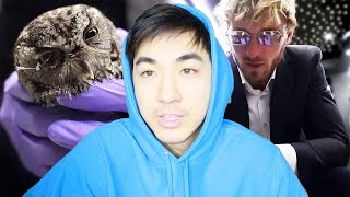 LOGAN PAUL SAVES OWL | REACTION