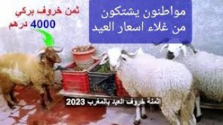 سوق الاغنام مواطنون يشتكون من غلاء اسعار أضحية العيد 2023