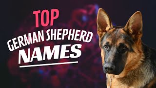 Top 10 German Shepherd Names Of 2022!