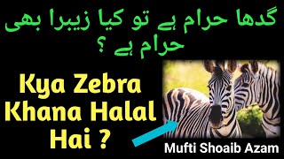 Kya Zebra Khana Halal Hai ? || Eating Zebra Meat ||  کیا زیبرا حلال ہے ؟ ||  Mufti Shoaib Azam