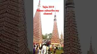 tajia 2019 short